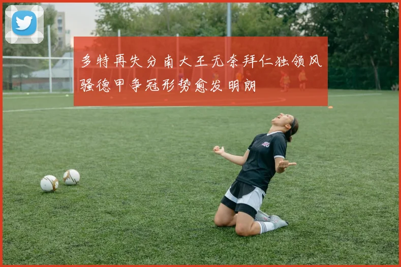 多特再失分南大王无奈拜仁独领风骚德甲争冠形势愈发明朗